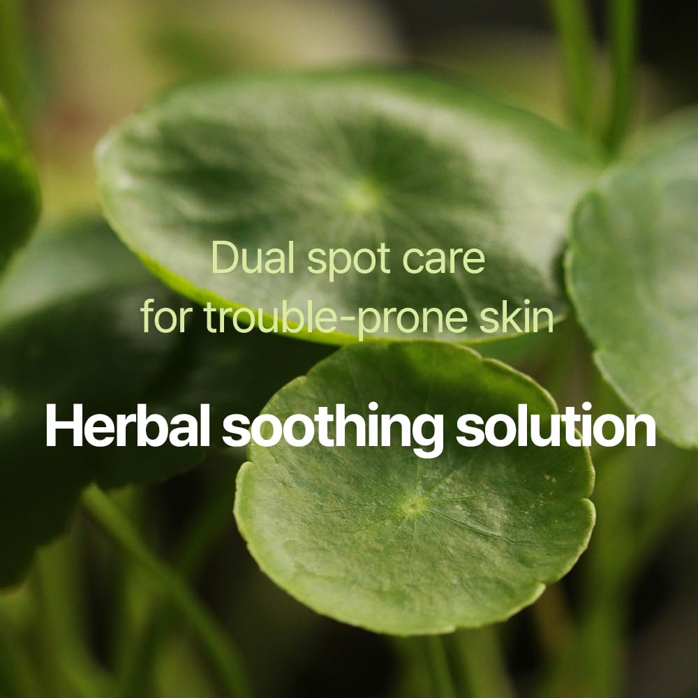 Pyunkang Yul PKY Calming Clear Spot Patch (Intensive Care)165 count Ultimate Hydrocolloid Acne Spot, Pimple, Blemishes & Zit Covering, 2 Sized Adhesive Equal Skin Care, Korean Skin Care