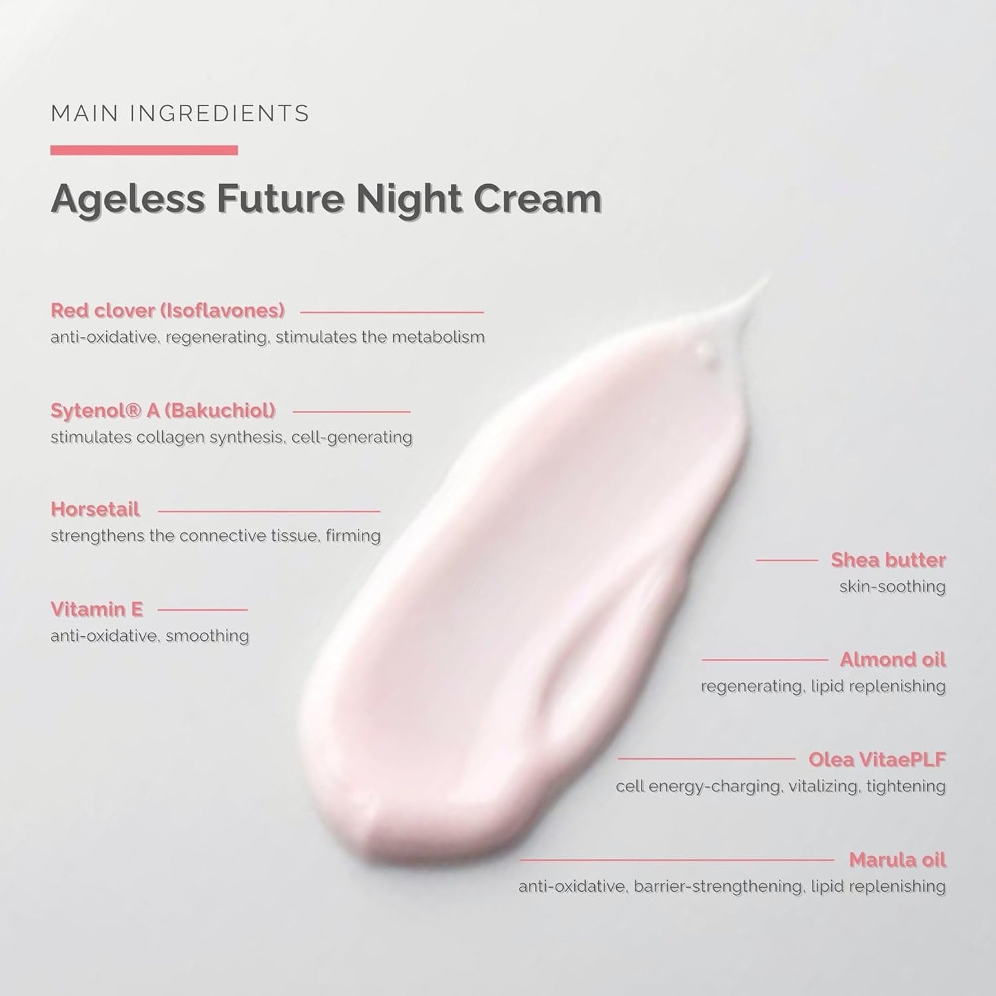 Ageless Future Night Cream (1.7 fl oz) - Skin Improving Anti-Aging Night Care – Regenerating Night Cream - with Vitamin A - Skin Care - Dr. Schrammek