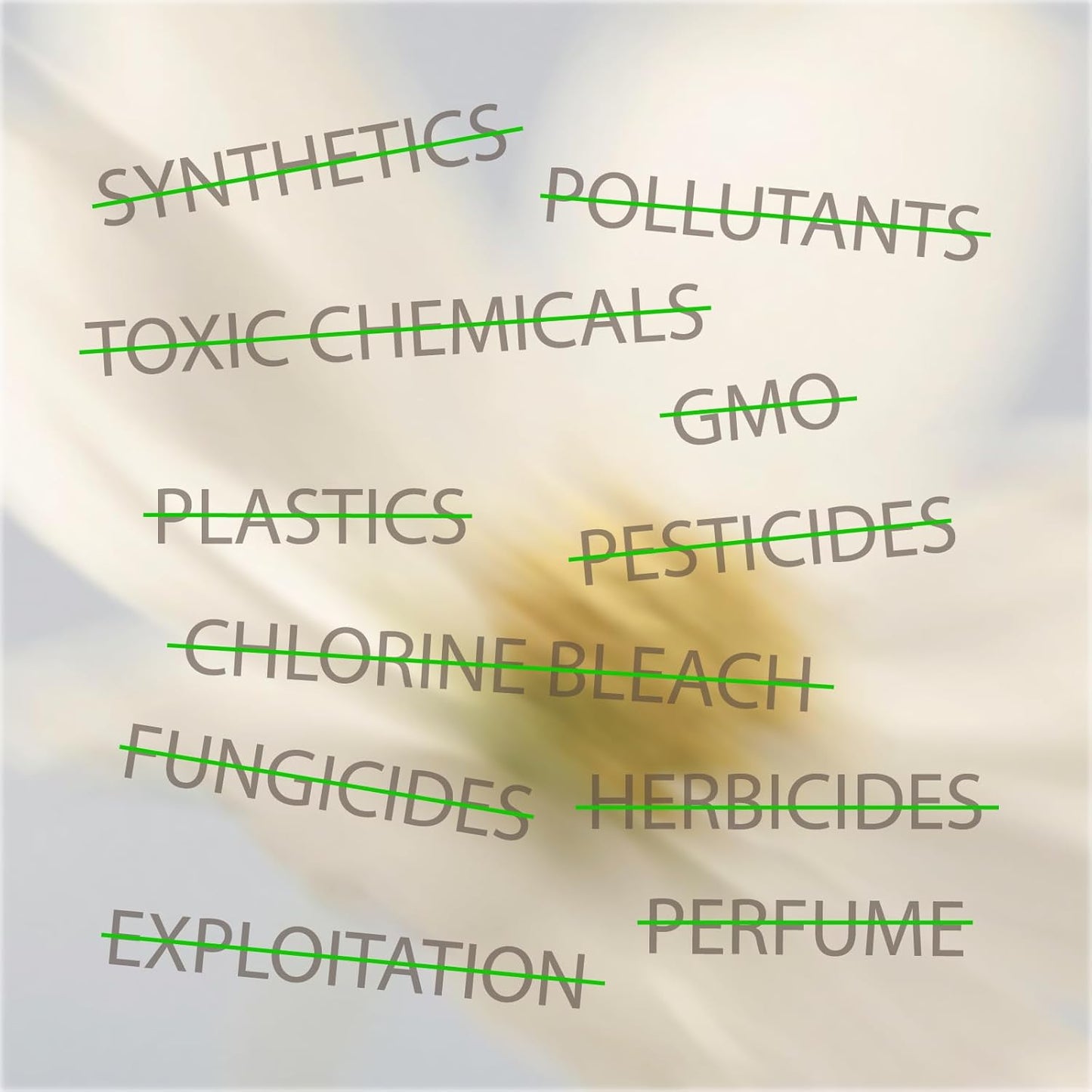 Oi l Organic Initiative - Ultra-Thin Pantyliner, 100% Certified Organic Cotton | Biodegradable, Free from Chlorine Bleaching, Pesticides, Toxic Chemicals | 80 Liners