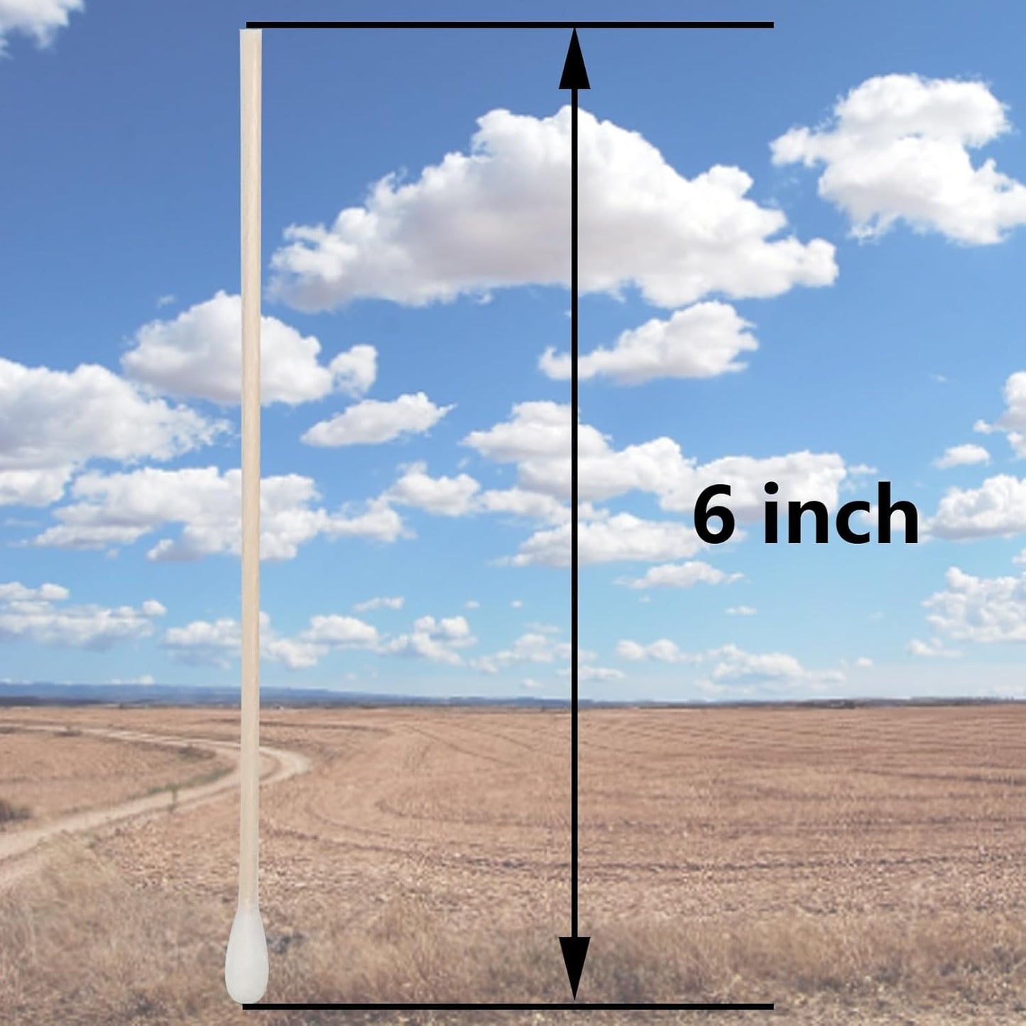 6 Inch Long Cotton Swabs,2000pcs Cotton Swabs,Long Cotton Swabs with Wooden Handle,Great for Gun Cleaning,Pet Care and Makeup