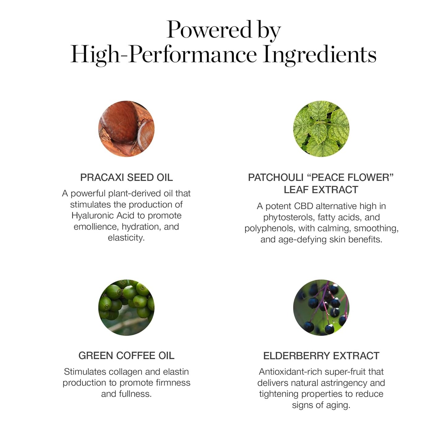 Ogee Sculpted Complexion Foundation Stick (Juniper 3.75W - Medium Light Tan, Olive Undertones) Full Coverage Foundation Makeup - Instantly Balance & Even Complexion - 70% Organic Ingredients