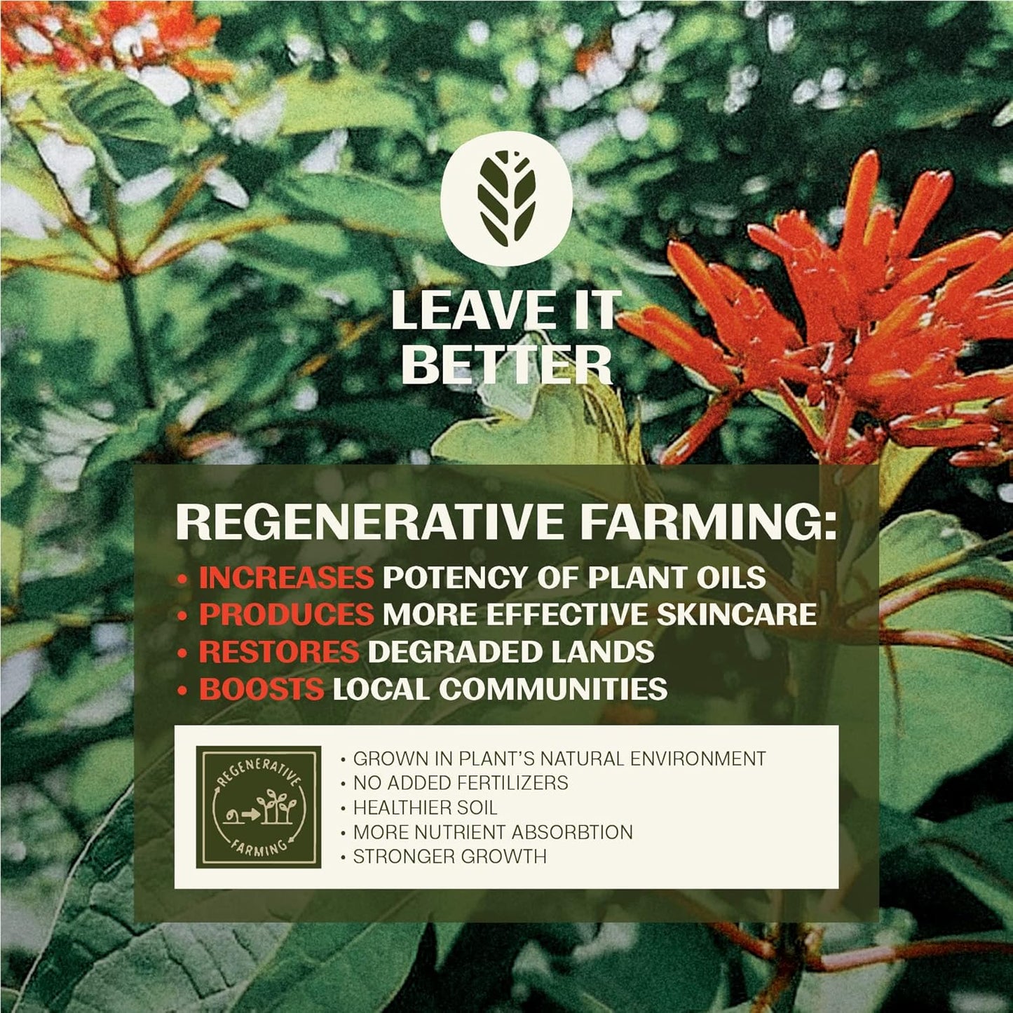 Thrive Natural Care Moisturizing Mineral Face Sunscreen SPF 30, 2 Ounces, Lightweight Moisturizer Broad-Spectrum Natural Face Sunblock with Clear Zinc Oxide & Antioxidants, Vegan Non Greasy, Pack of 2