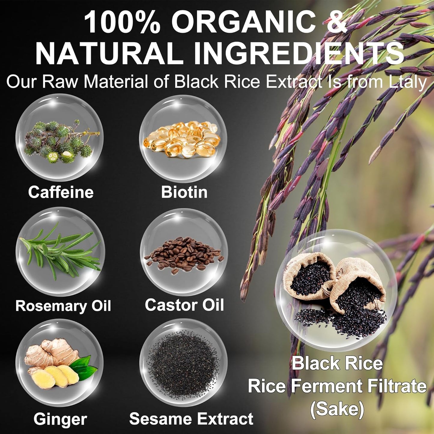 GIFBEA Organic Black Rice Water Hair Growth Serum Spray, 5 Fl Oz, Rosemary Scent, For All Hair Types, With Biotin, Castor Oil, Caffeine, Hair Loss Treatment