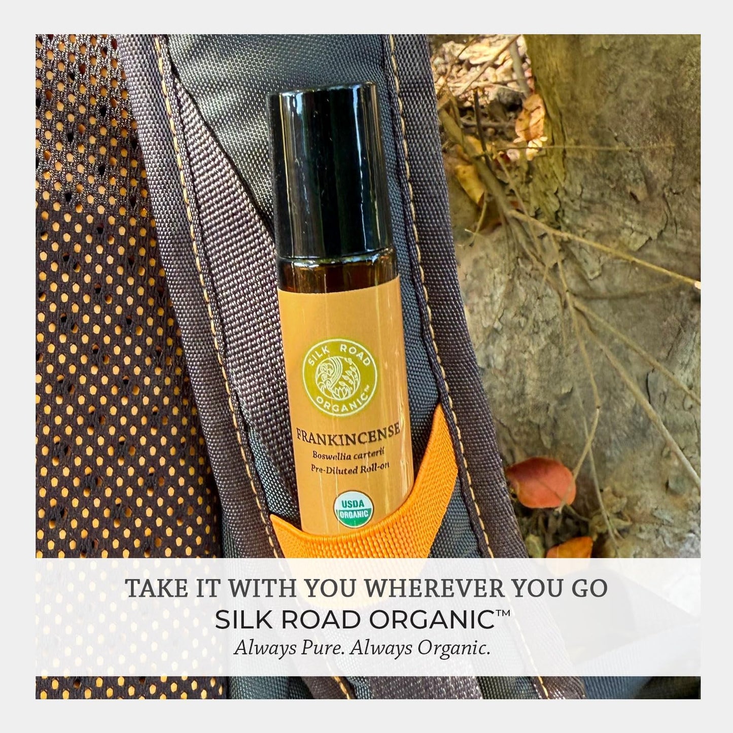 Silk Road Organic Frankincense Carterii Essential Oil Roll On, 100% Pure USDA Certified Aromatherapy for Radiant Skin, Body Aches, Stress Relief, & Calm - 10 ml Roller