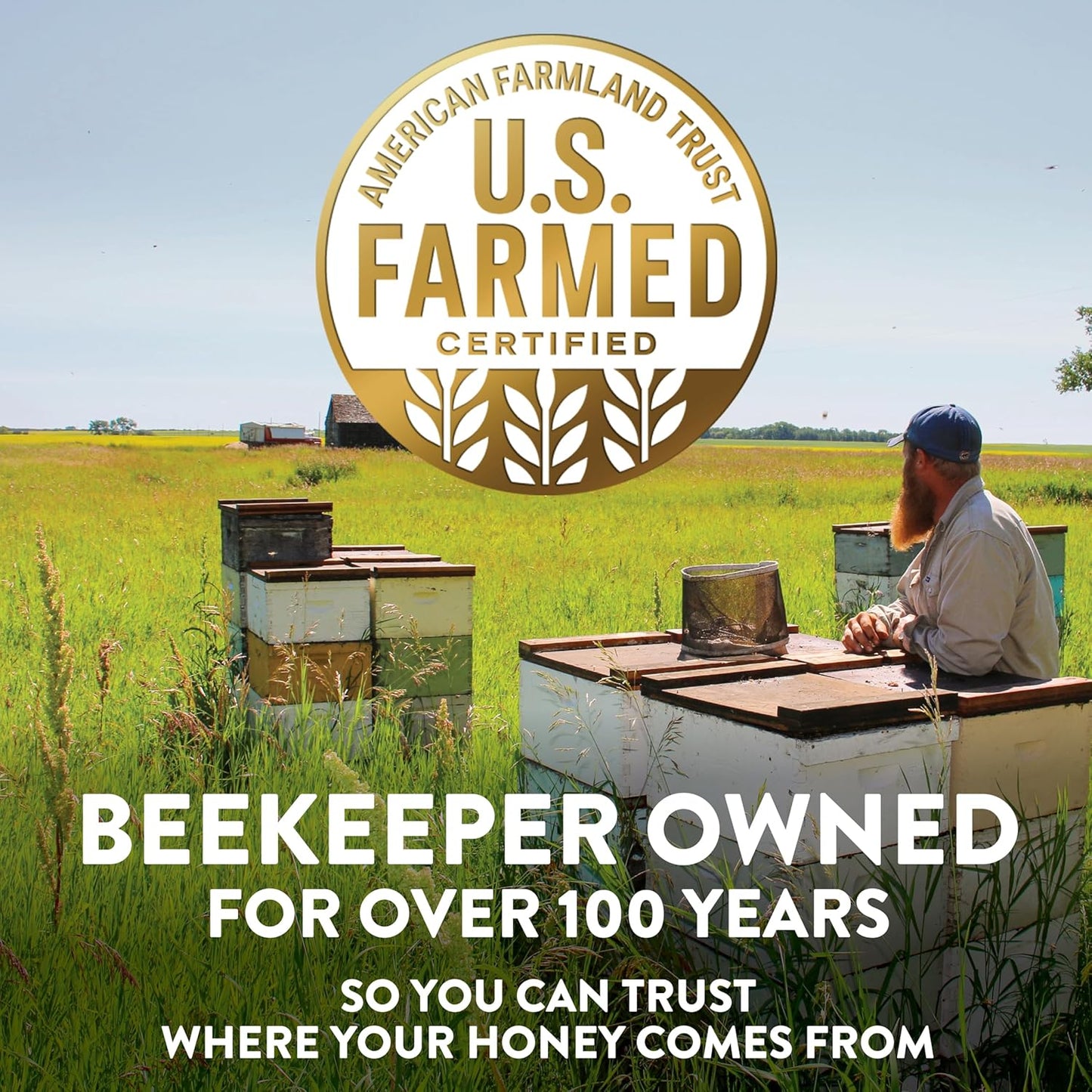 Sue Bee Naturally Flavored Hot Honey Chili Infused For Ribs, Wings, Burgers, 12 oz